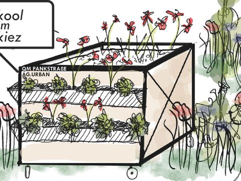 Klimaprojekt im Quartiersmanagementgebiet