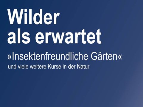 Slogan Wilder als erwartet