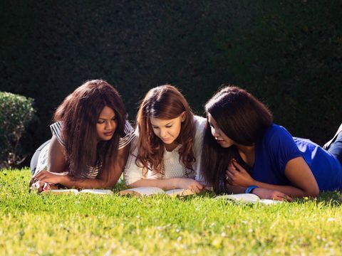 Three Friends Studying 