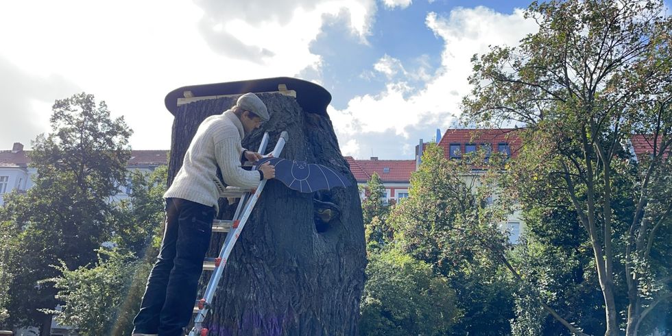 Die alte Linde - Schutz für Baum und Fledermäuse am Boxhagener Platz