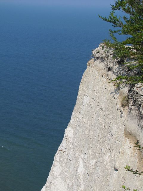 Kreidefelsen auf Rügen