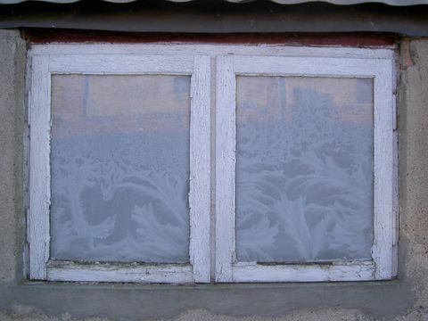 Eisblumen an einem Fenster