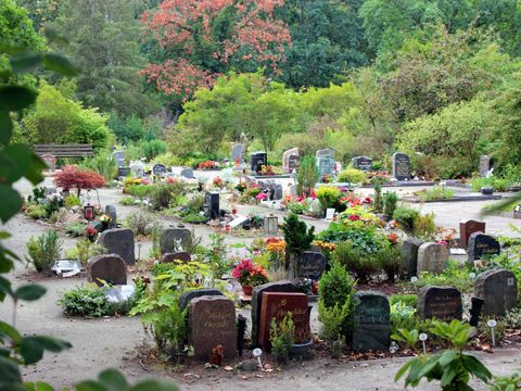 Friedhof Baumschulenweg Urnenreihengrabstätten