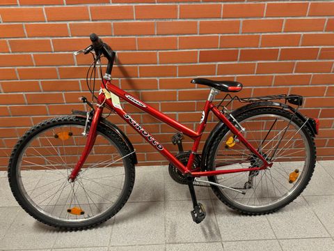 Rotes Kinderfahrrad