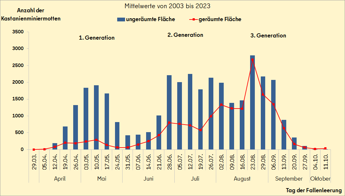 Flugverlauf der Kastanienminiermotte auf geräumten und ungeräumten Flächen 2003 bis 2023