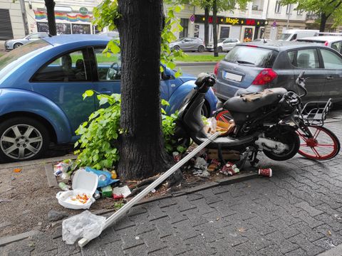 Bildvergrößerung: Müllablagerung auf einer Baumscheibe