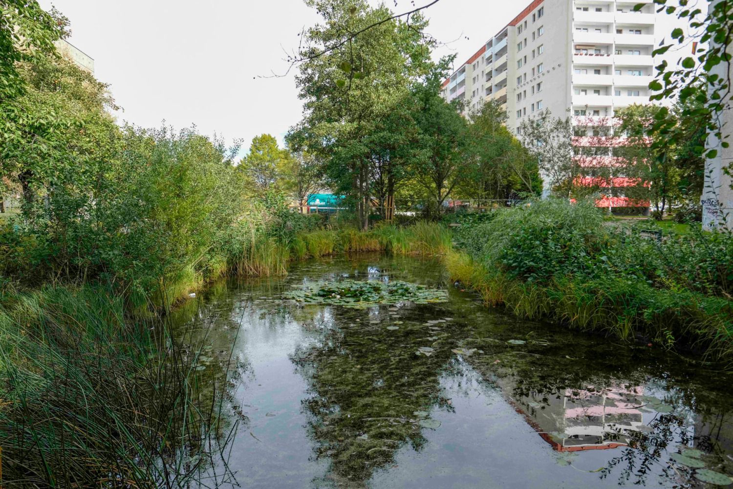 Teich im Kosmosviertel