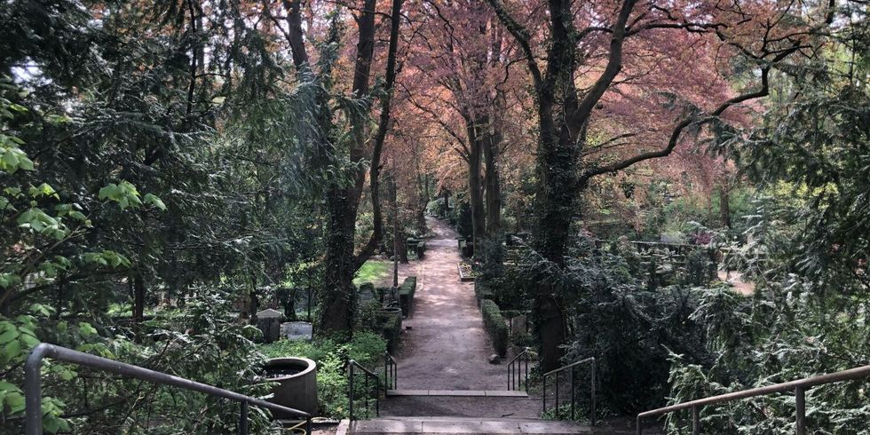 Friedhof Heerstraße_Blick über den Friedhof