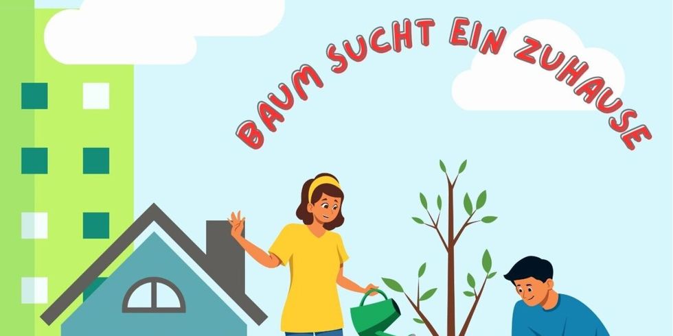 Baum sucht Zuhause