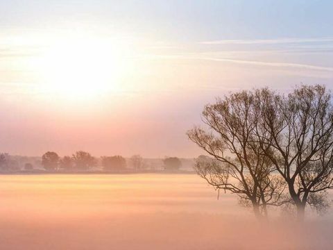 Das Foto zeigt eine Landschaft am Morgen mit Nebel, zwei Bäume stehen nebeneinander im Vordergrund.