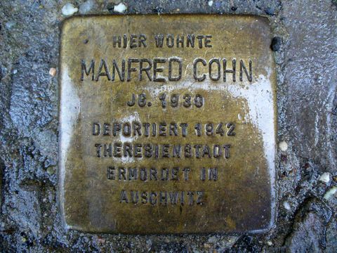 Stolperstein für Manfred Cohn