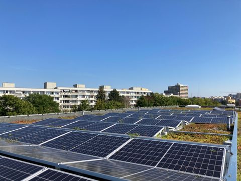Solarenergie auf Neuköllner Schuldächern
