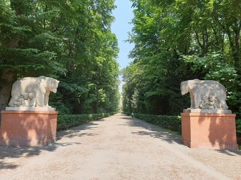 Bärin mit spielenden Kindern Volkspark Jungfernheide