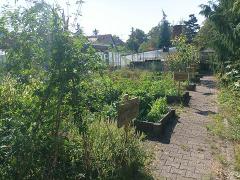 beschilderte Beete in der Gartenarbeitsschule