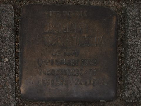 Stolperstein Dr. Selmar Frankenstein, 25.03.2012