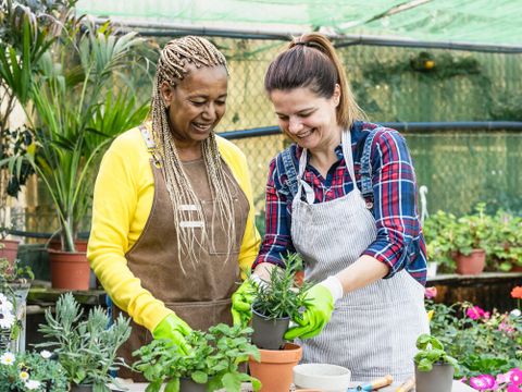 Frauen im Garten