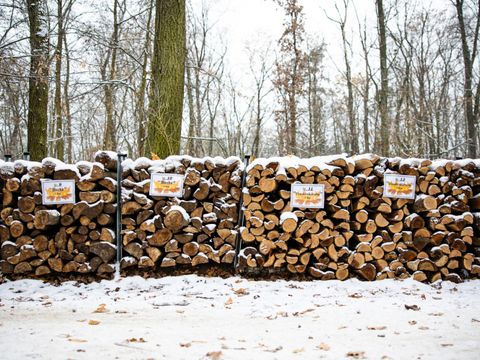 Wild- und Brennholztag im Forstamt Köpenick