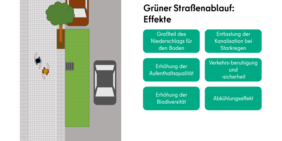 Der grüne Straßenablauf