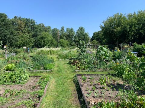 Bildvergrößerung: In mehreren Beeten in einem Garten sind unterschiedliche Pflanzen gepflanzt.