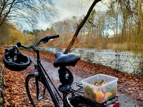 Fahrrad vor dem Möwensee