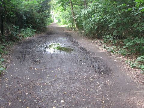 Bildvergrößerung: Beispielfoto eines Parkwegs ohne Wegebaumaterial mit gestörter Wasserabführung