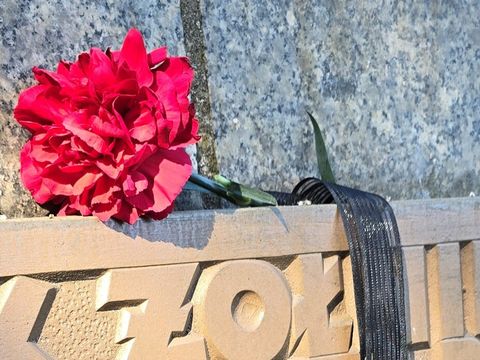 Anwohner*innen legten in Stille diese Nelke mit Trauerflor am Denkmal des polnischen Soldaten und deutschen Antifaschisten im Volkspark Friedrichshain ab