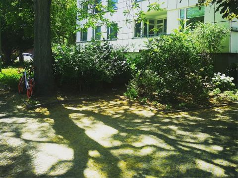 Die Grünflächen im Hansaviertel