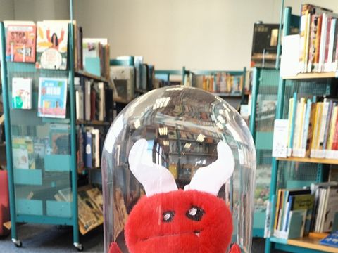 kleines Monster aus rotem Stoff genäht in Glasbehälter in Bibliothek