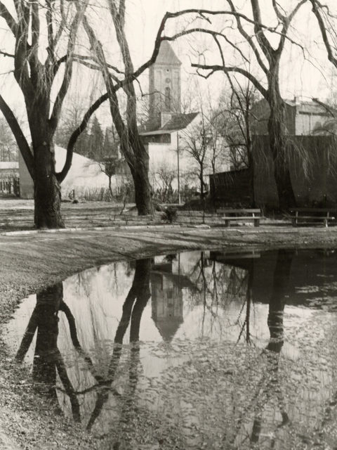 Historische Aufname vom Dorfteich in schwarz-weiß von 1959