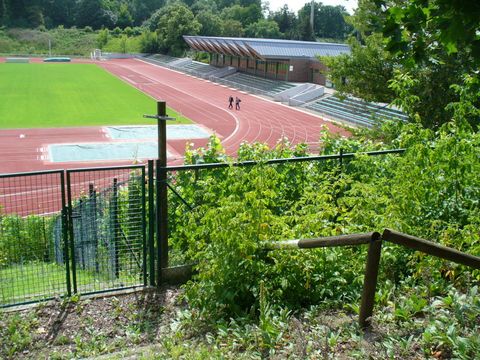 Weinberg im Stadion Wilmersdorf, Foto: KHMM