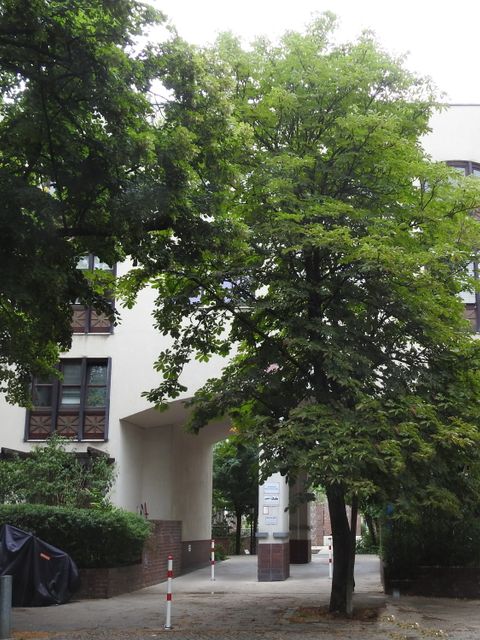 Ravensburgerstraße 5