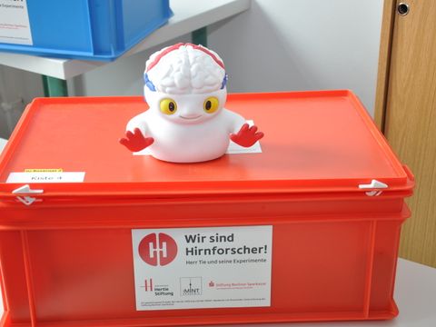 Bildvergrößerung: Hirnforscher_1