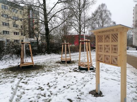 Wildbienenhotel und junge Bäume auf winterlicher Fläche