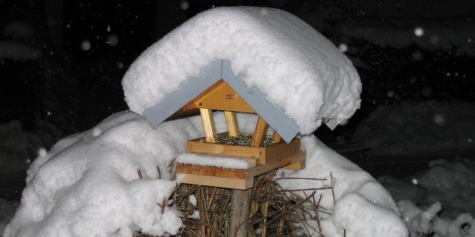 Vogelhaus bedeckt mit Schnee