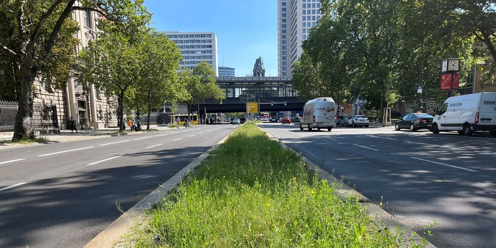 Der Mittelstreifen der Hardenbergstraße wird in eine artenreiche Grünfläche verwandelt - Hardenbergstraße mit Mittelstreifen - im Hintergrund Bahnhof Zoo und Gedächtniskirche