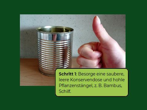 Schritt 1 : Besorge eine saubere,leere Konservendose und hohlePflanzenstängel, z. B. Bambus,Schilf.