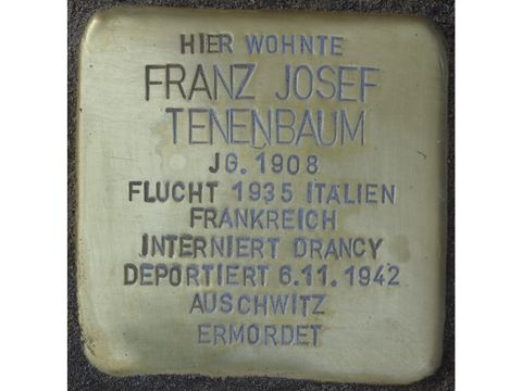 Tenenbaum, Franz-Josef