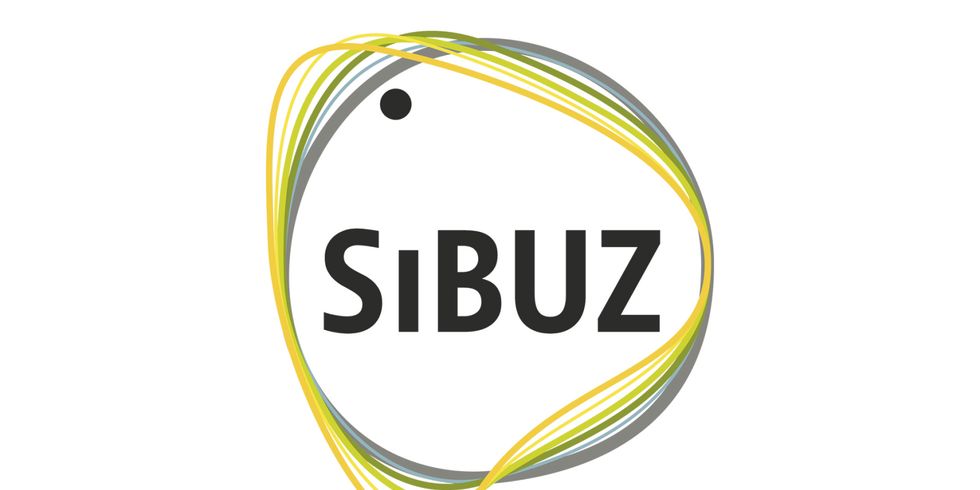 Logo SIBUZ