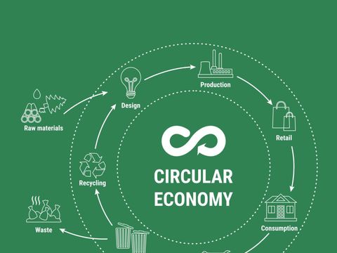 Circular Economy Infographic