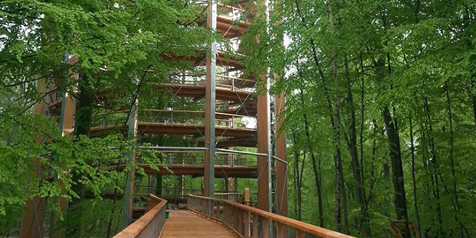 buehne Turm im Baumwipfelpfad durch Wald