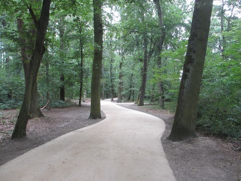 Bildvergrößerung: Fertig gestellter Hauptweg im Heinrich-Laehr-Park