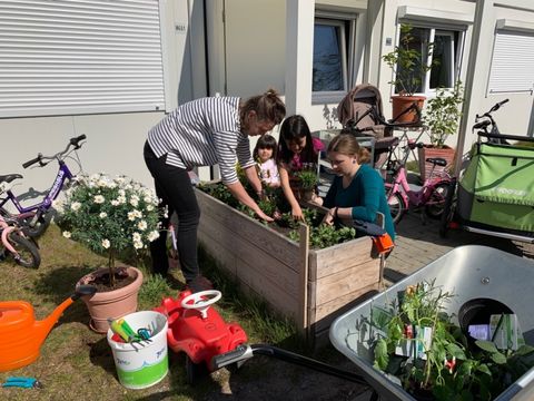 Saisonstart für das Hofbegrünungsprogramm