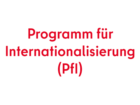 Logo für Programm für Internationalisierung