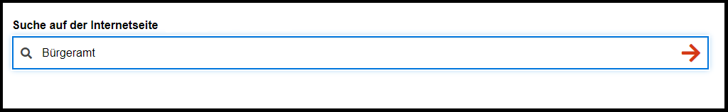 Screen·shot einer Internet·seite mit Such·feld