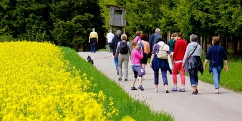 Wanderer in der Natur