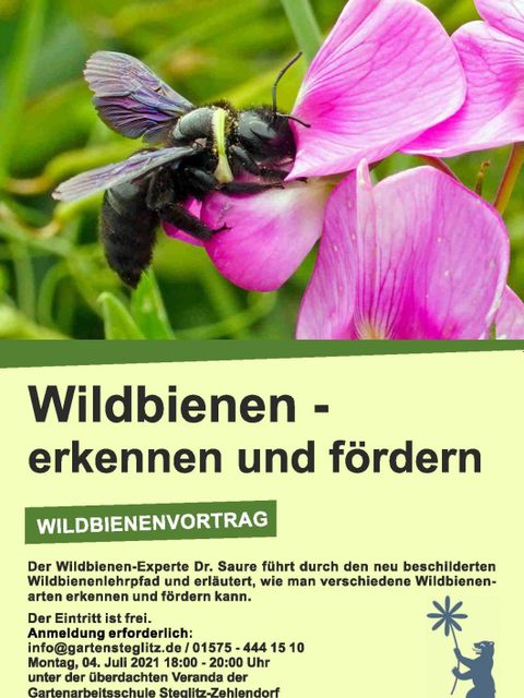 Bildvergrößerung: Plakat zum Vortrag "Wildbienen - erkennen und fördern" am 04.07.2022 in der Gartenarbeitsschule Steglitz-Zehlendorf