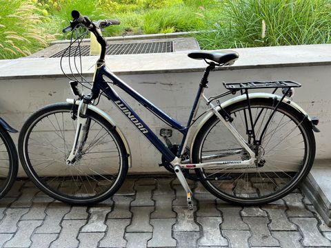 Blaues Fahrrad