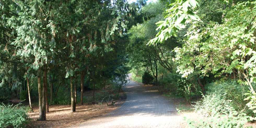 Volkspark Hasenheide in Neukölln - Weg