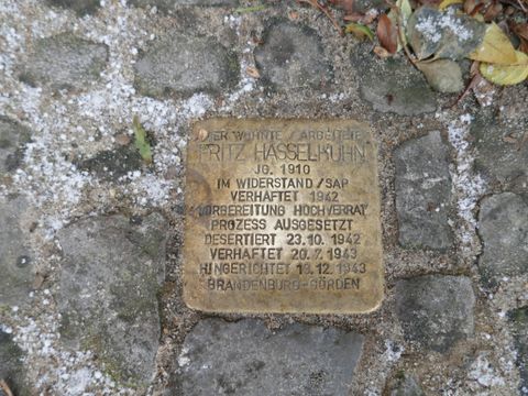 Bildvergrößerung: Stolperstein für Fritz Hasselhuhn