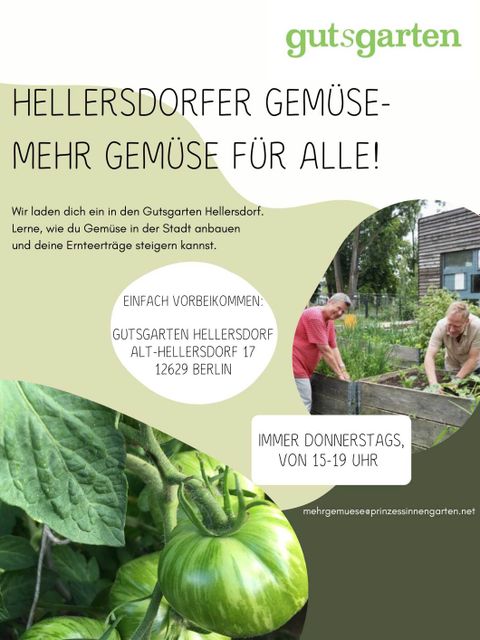 Flyer zum Projekt 